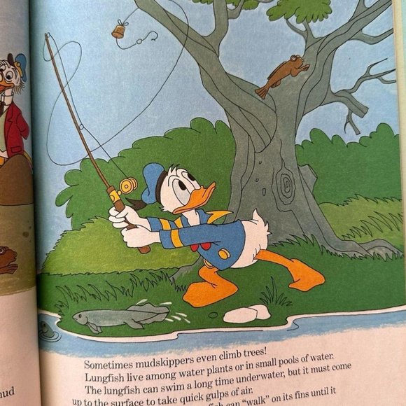 WALT DISNEY'S FROM WHALES TO SNAILS BOOK - Picture 3 of 5